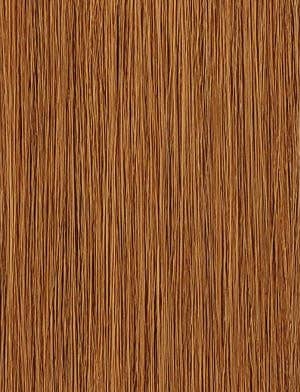 Premium Too 22" 2x Ocean Wave Bulk: 2