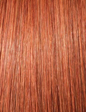 Premium Too 22" 2x Deep Bulk : 1