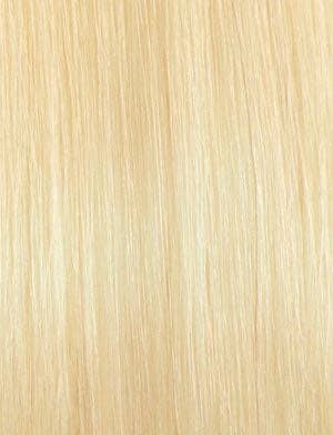 Premium Too 22" 2x Deep Bulk : 1